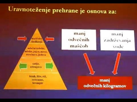 Uravnavanje telesne teže - 1.del - dr.Iztok Ostan