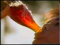 Vintage Commercial Summer Coca Cola Classic