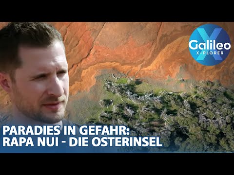 "This is how I imagine Mars" - Easter Island: Paradise in danger