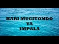 Download Hari Mugitondo Ya Impala Mp3 Song