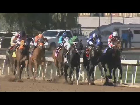 Horse dies at Santa Anita Park on second day of racing season | ABC7