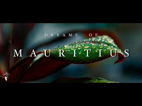 TF | DREAMS OF MAURITIUS - A CINEMATIC JOURNEY