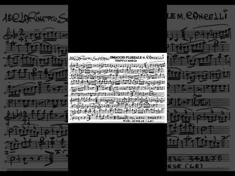 Omaggio floreale - Maurizio Cancelli (Marcia)