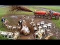 Funny Wedding Fails Caught On Camera