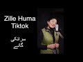 Most popular Saraiki songs tiktok by Zille Huma|