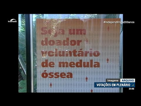 Medula óssea: proposta aprovada no Senado visa facilitar a localização de doadores