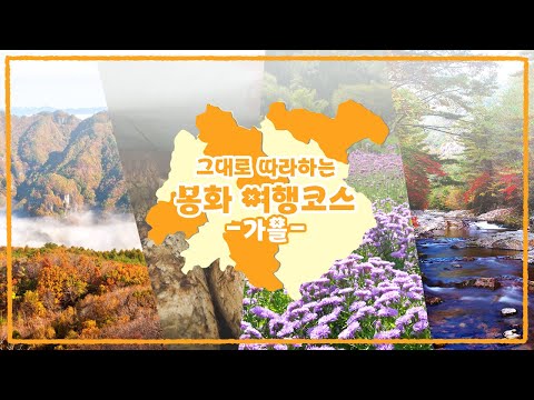 그대로 따라하는 봉화 여행코스 