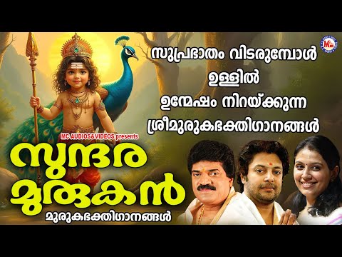 സുപ്രഭാതം വിടരുമ്പോൾ ഉള്ളിൽ ഉന്മേഷം നിറയ്ക്കുന്ന ശ്രീമുരുകഭക്തിഗാനങ്ങൾ | Murugan Songs Malayalam