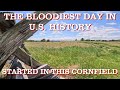 Antietam: Carnage in The Cornfield
