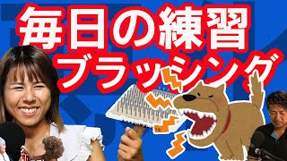 【犬のしつけ　ブラッシング嫌がるワンちゃんに】犬の行動分析のプロが教える！こんなブラッシングは絶対にダメ！ダメだったパパの方法。