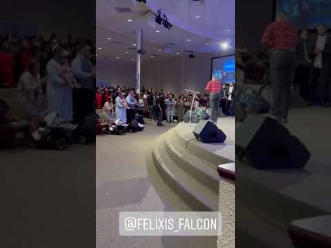 Socorreme - Felixis Falcon