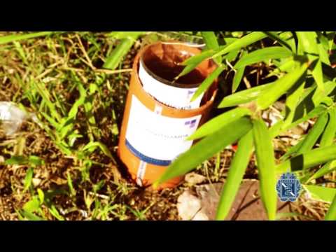 SAN ISIDRO: Operativos de fumigación para prevenir el dengue