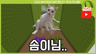 유튜브 썸네일