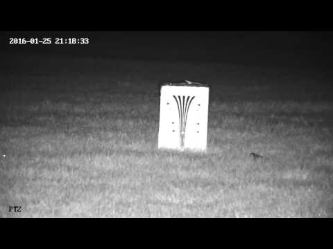 Testing the effect of gain on image quality YC-HD785R-20X - Gain 75