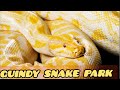 Snake park Chennai | Guindy National Park