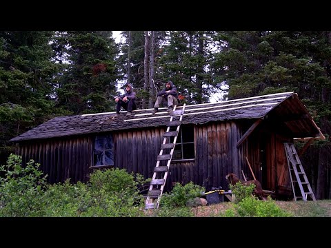 SAVING AN OLD LOG CABIN IN THE MAINE WOODS (with a dog) | Cabin Restoration