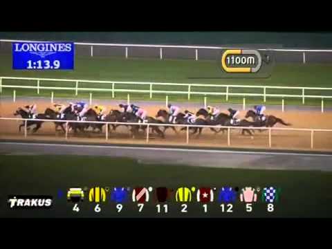 31.12.2014 Meydan (Dubai-UAE) 6.Race EGA JABAL Ali Trophy - Handicap 2.200 m