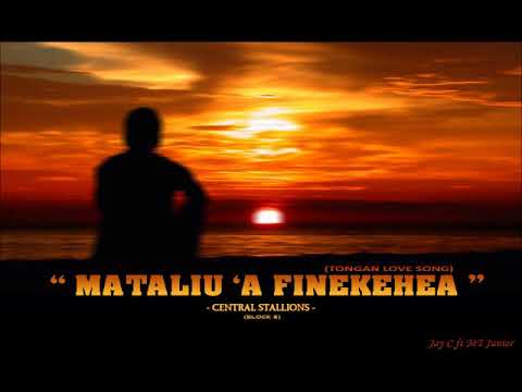 Mataliu 'a Finekehea ( Central Stallions)