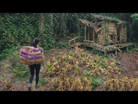 Young Girl’s Extreme Forest House Makeover: From Abandoned to Dream Home