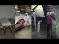 Top 50 Penampakan Hantu Terjelas Dan Seram Di Tahun 2025 Yang Baiknya Ditonton Sebelum Tidur