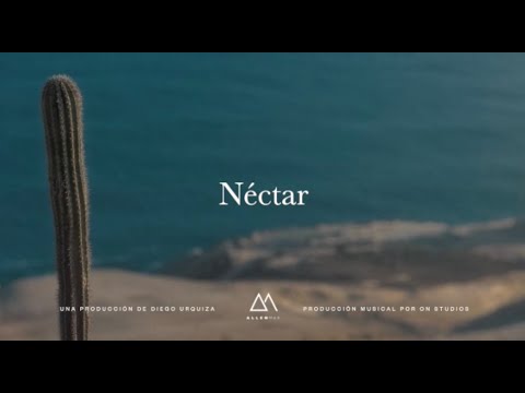 Allen Mar, Marée - Néctar (Video Oficial)