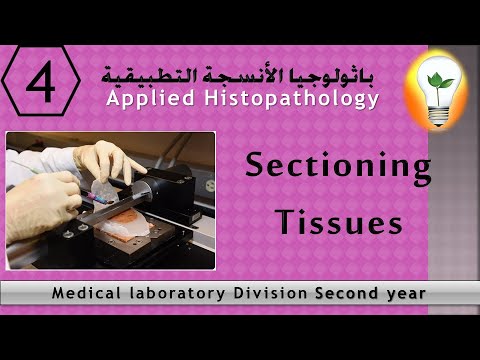 Histopathology 1 Introduction to basic pathology مقدمة إلى أساسيات الباثولوجي