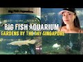 Big Fish Aquarium Gardens By The Bay
