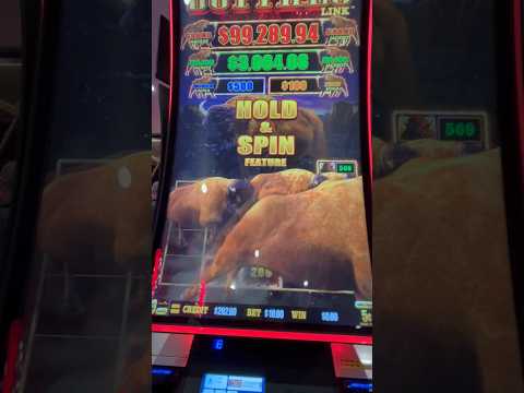 $10 Hold & Spin on HIGH LIMIT Buffalo Link 🦬 #gambling #slots #casino