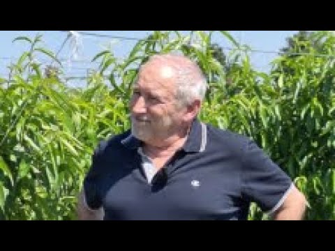 video media thumbnail