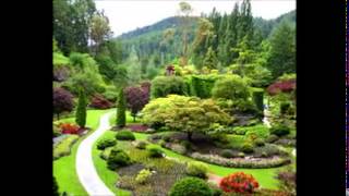 Apa yg mesti kita transfer ketika di dunia