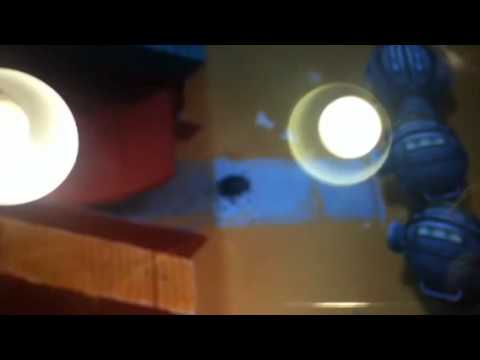 Spice Bandits Game Review!!! iOS 4 +