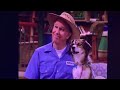 Barney Friends Season 7 Episode 4 Puppy Love