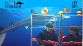 DIA 2 Expo Tiburon175