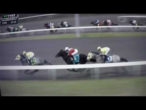 2017  SPIRAL STAKES $500.000 FAST AND ACCURATE