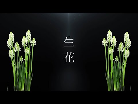 ATOLS - 生花 feat. YURiCa/花たん