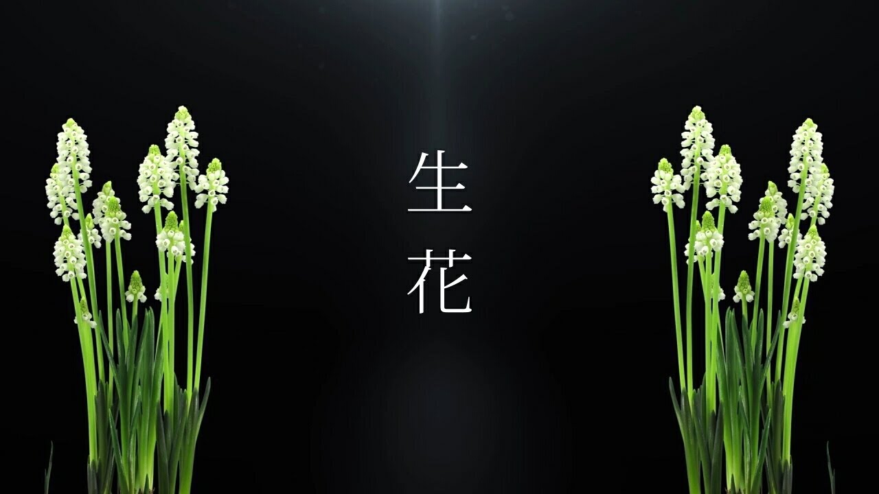 ATOLS - 生花 feat. YURiCa/花たん