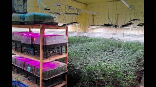 Наркобизнес в Николаеве и Кривом Роге: задержали троих подозреваемых