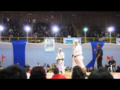 Mundial Equipes kyokushin 2015 | Leonardo Tavares vs Dmitri Lunev