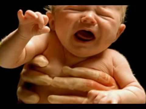 BBC - El Cuerpo Humano C11 (heroes por naturaleza) Final