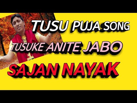 TUSU KE ANITE JABO// TUSU SONG //টুচু গীত // SAJAN NAYAK