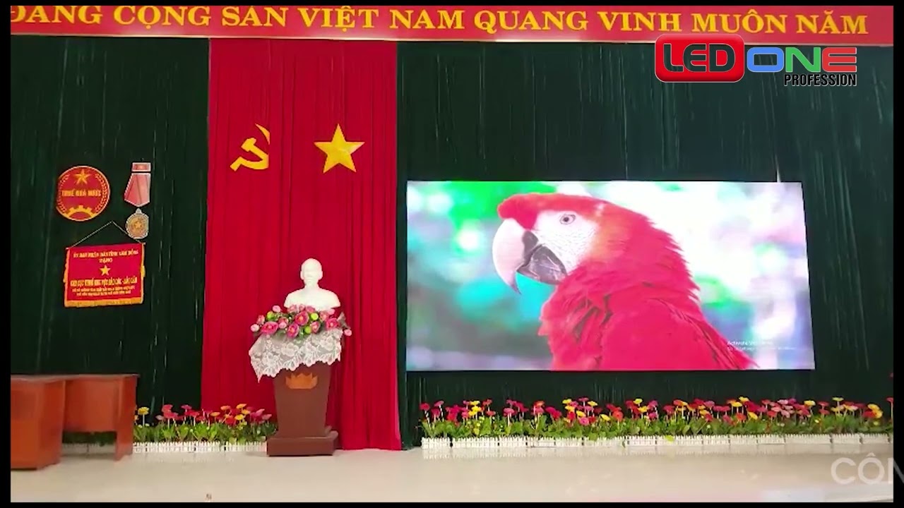 Chi cục Thuế KV Bảo Lộc - Bảo Lâm - Bộ tài chính | Ledone thi công dự án thầu màn hình Led GOB P2.5