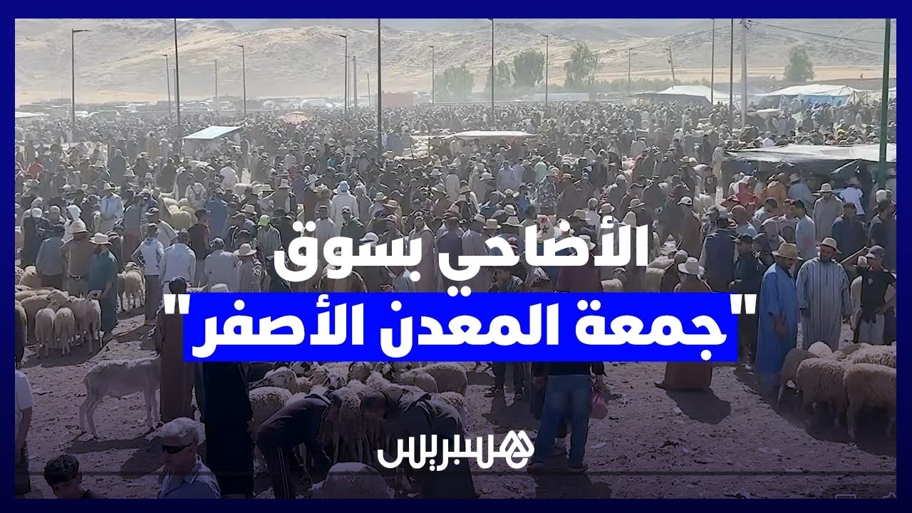 وفرة وجودة في العرض.. سوق "جمعة المعدن الأصفر" يبدد المخاوف ويبشر المغاربة بعيد أضحى في المتناول thumbnail