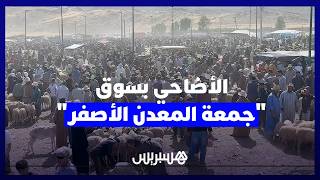 وفرة وجودة في العرض.. سوق "جمعة المعدن الأصفر" يبدد المخاوف ويبشر المغاربة بعيد أضحى في المتناول thumbnail