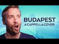 George Ezra - Budapest - Peter Hollens Acappella ...