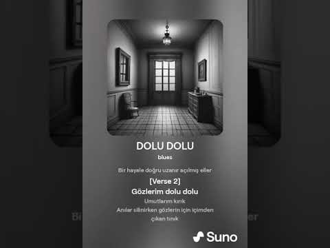 DOLU DOLU 02