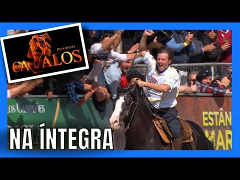 PROGRAMA CAVALOS ESPECIAL FREIO DE OURO 2022