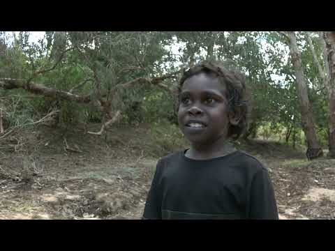 NGANABBARRU! Water Buffalo!