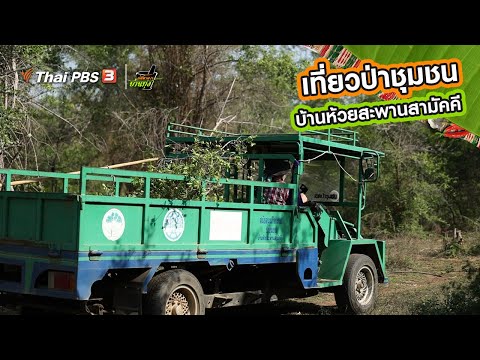 Huai Saphan Samakkhi Community Forest