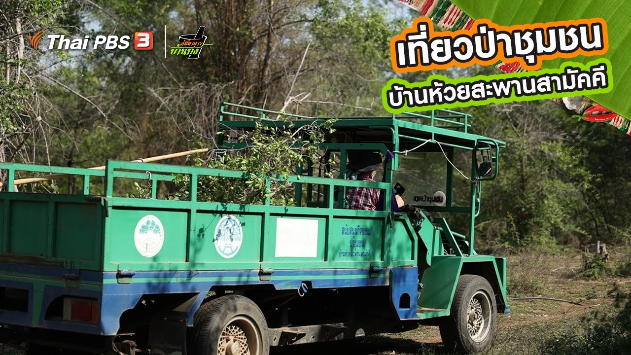 ป่าชุมชนบ้านห้วยสะพานสามัคคี