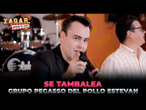 Grupo Pegasso del Pollo Estevan - Se Tambalea / En Vivo Zagar Desde El Bar